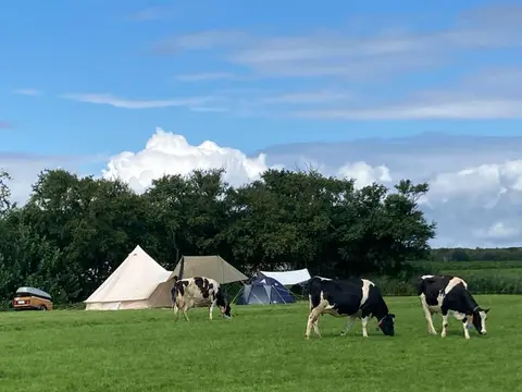 De Oorsprong