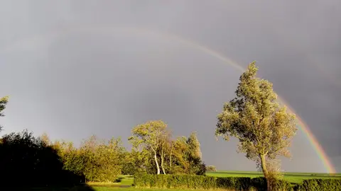 De Oorsprong