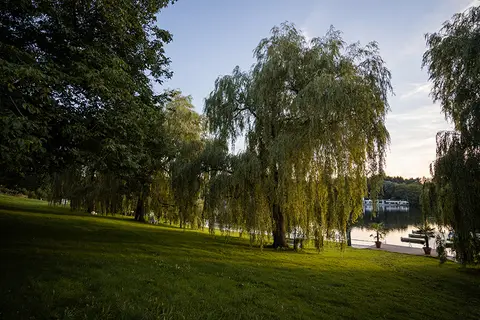 Camping am See International