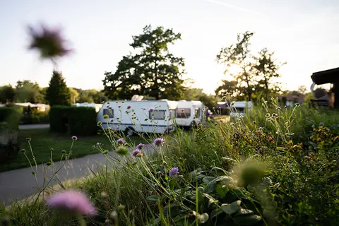 Camping am See International