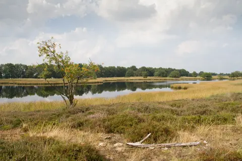 Camping De Vennen