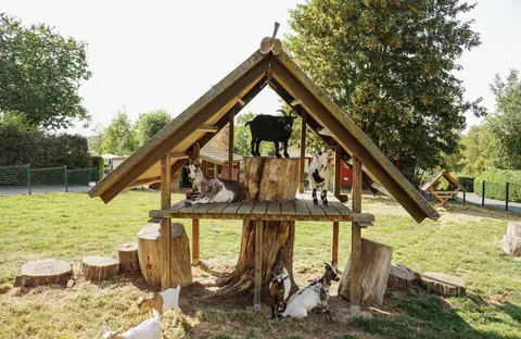 Camping Hohenbusch