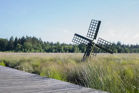 Boerderijcamping Roeloomskamp