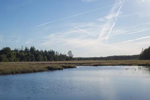 Boerderijcamping Roeloomskamp