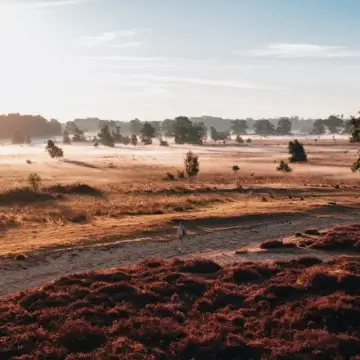 Camping BuitenRijk