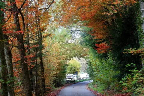 Sihlwald