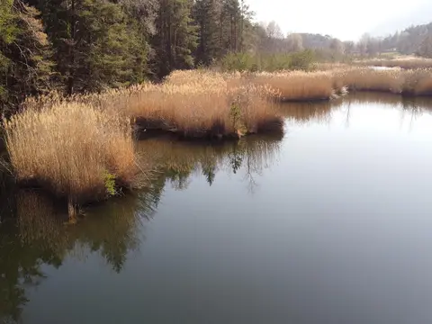 Zum Vahrner See - Al Lago di Varna