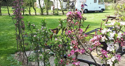 Fietsers en Camper Camping Heiderust
