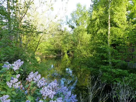 Bergmühle