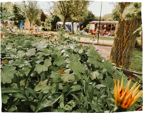 Oergezellig