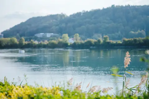 Rhein-Camping Waldshut