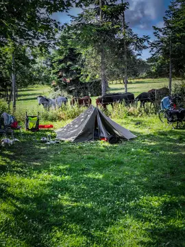 Langelands Camping og Motel