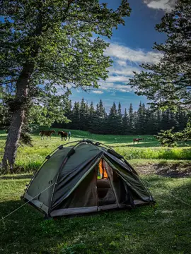 Langelands Camping og Motel