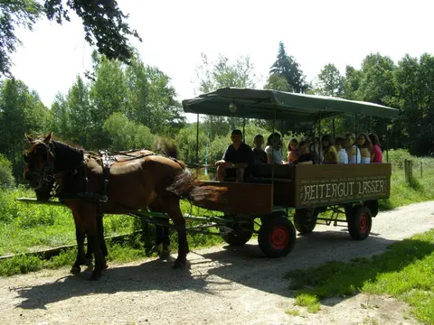Camping Seewirt