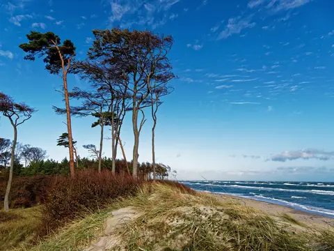 Naturdüne Camping Resort Zingst