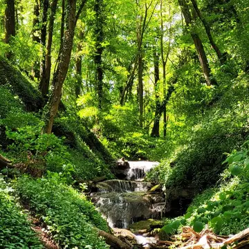 Waldcamping Germania Mörtelstein