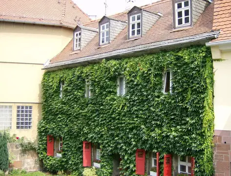 Lahnaue