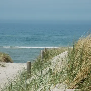OstseeCamp Dierhagen