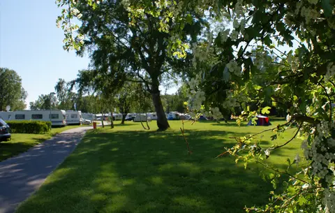 OstseeCamp Dierhagen