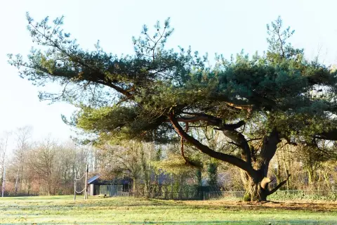 Kampeerboerderij de Zandkamp