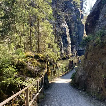 Thorwaldblick