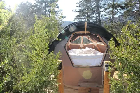 Les Géorennes