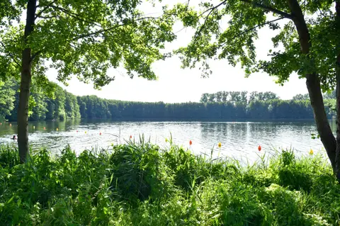 Apelhof