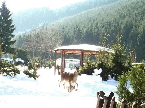 Oberhof Camping Lütschesee