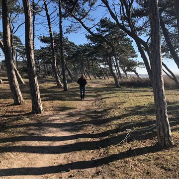 Bildsø Camping