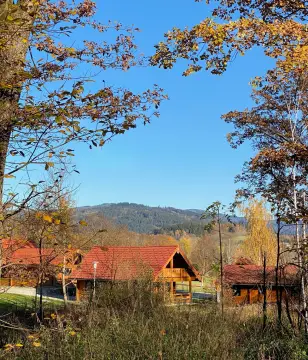 Ferienpark Arber