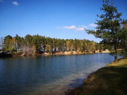 Waldbad Niesendorf