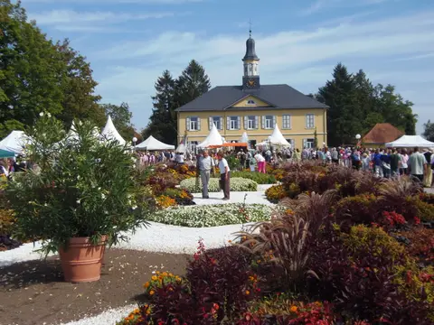 Wohnmobilstellplatz Bad Rappenau