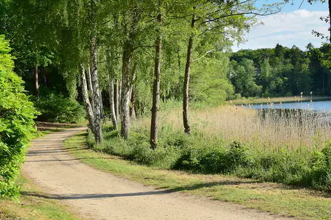 Natur-Campingplatz Salemer See