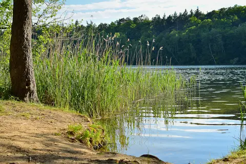 Natur-Campingplatz Salemer See
