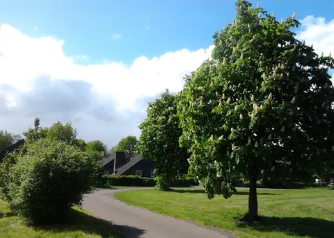 Camping & Ferienpark Falkensteinsee