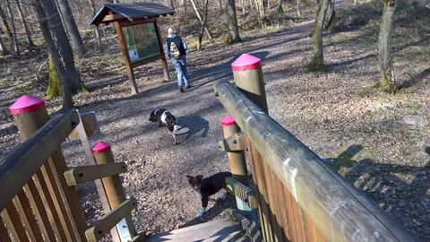 Campingplatz Marienort