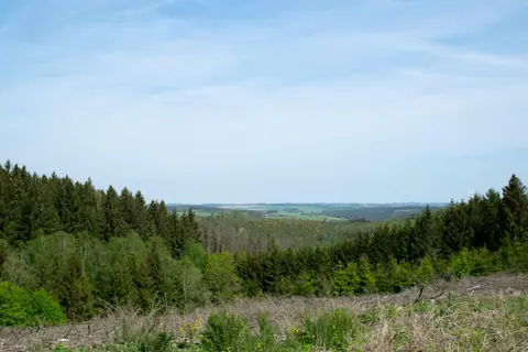 L'Eau Vive