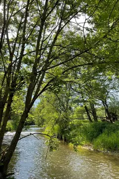 L'Eau Vive