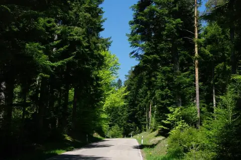 Camping Rehmühle