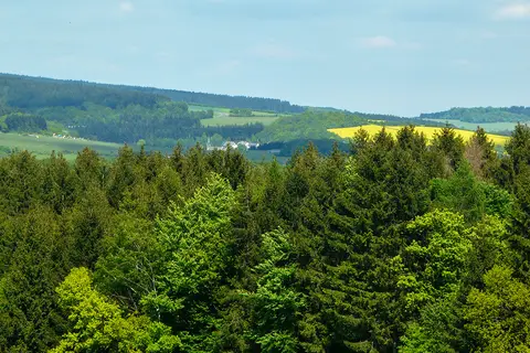 Camping Moselhöhe