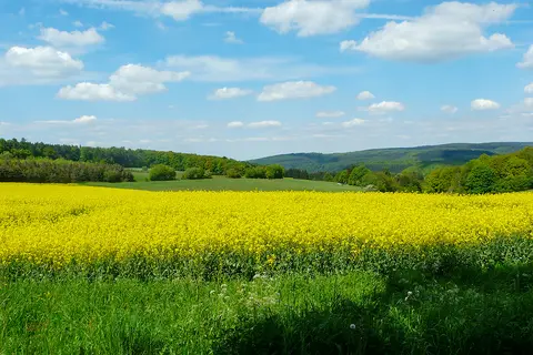 Camping Moselhöhe