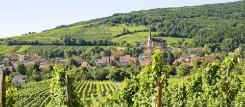 Seasonova Les Portes d'Alsace