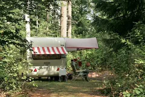 Natuurkampeerterrein De Toekomst