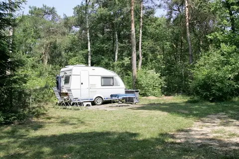 Natuurkampeerterrein De Toekomst