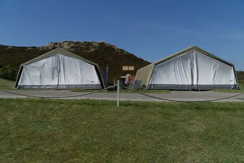 Strandläufernest
