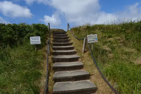 Strandläufernest