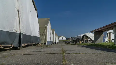 Strandläufernest