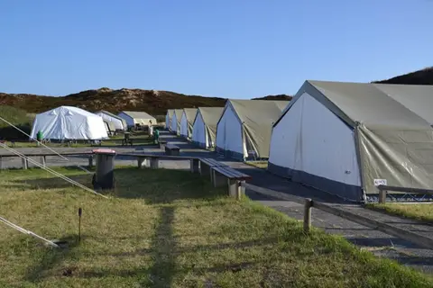 Strandläufernest