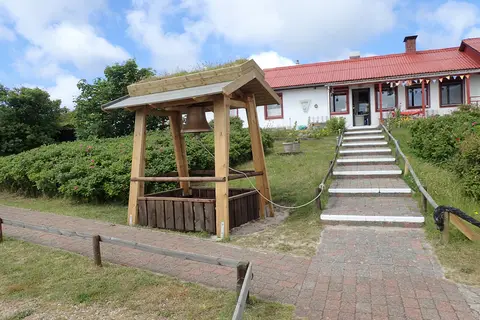Strandläufernest