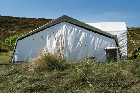 Strandläufernest